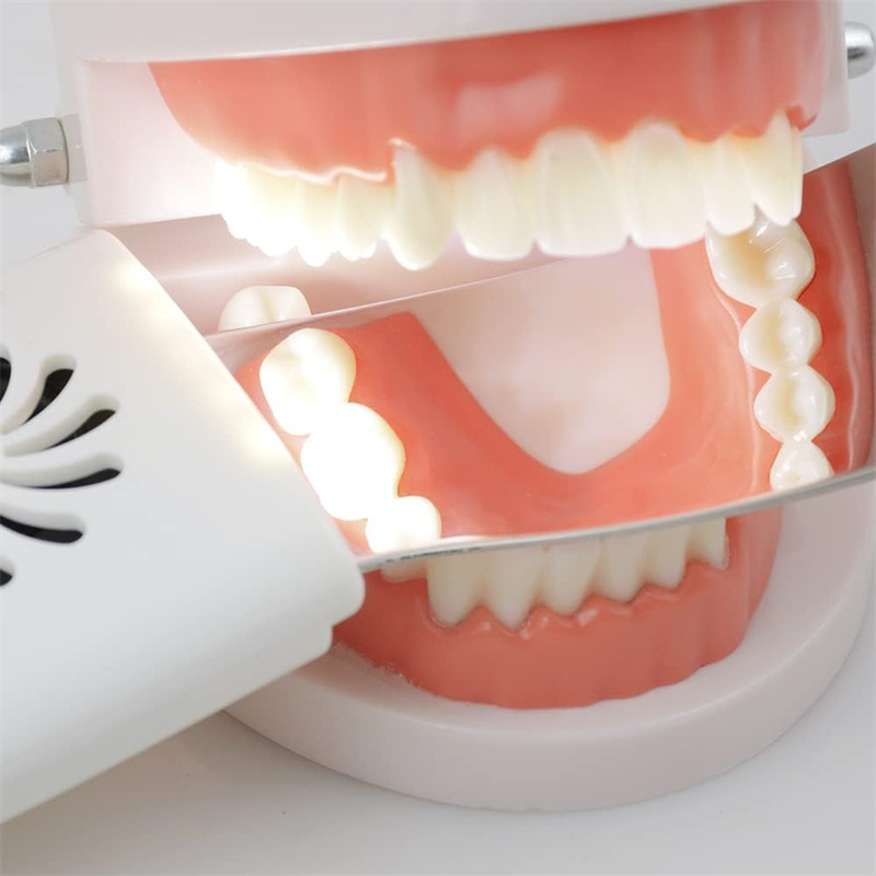 Dental-Antibeschlagspiegel mit – Photography Dental Bewertung und Preis