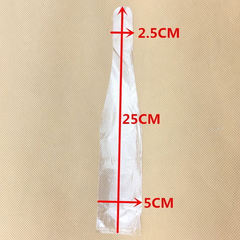 500 Stück/Box Zahnmedizinische – Photography Dental Bewertung und Preis