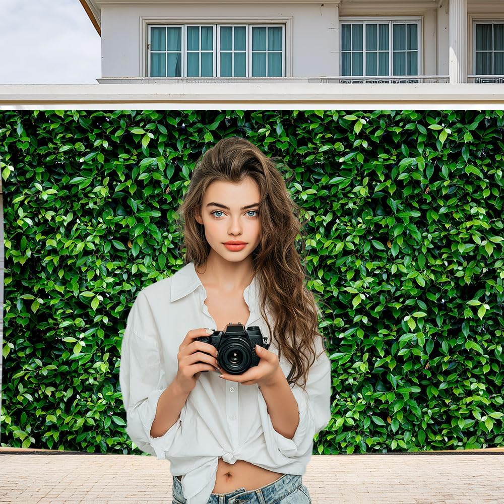 Hintergrund mit grünen Blätter – Photography Zoo Bewertung und Preis